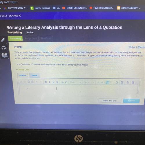 Ryan essay that analyzes one work of literature that you have read from the perspective of a quotat