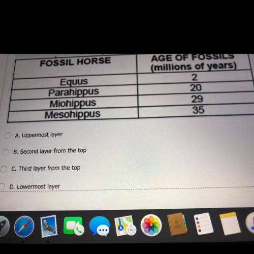The ages of four different horse fossils are shown in the table below. Use the information to

ans