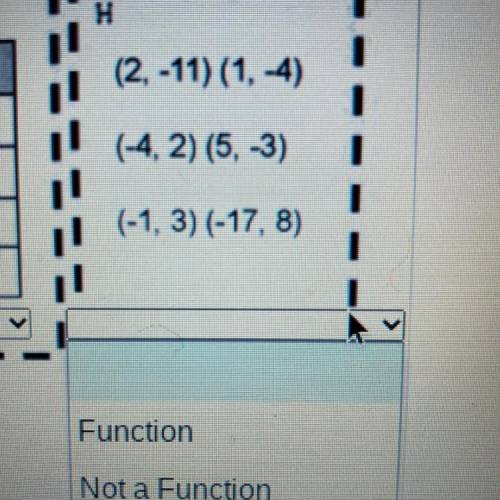 Hi i need to know if this is a function...
