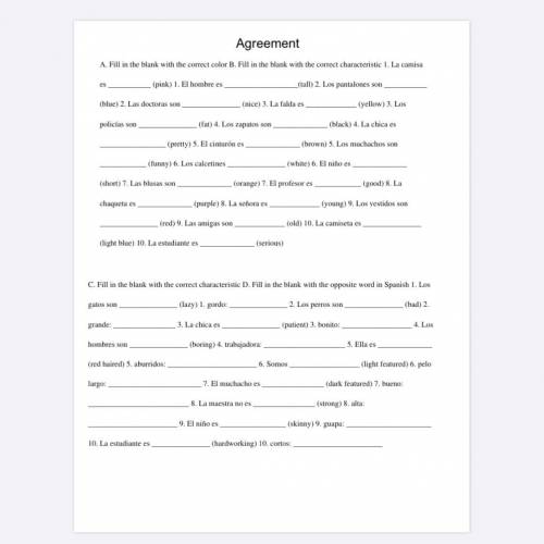Agreement Spanish Homework fill in the blank