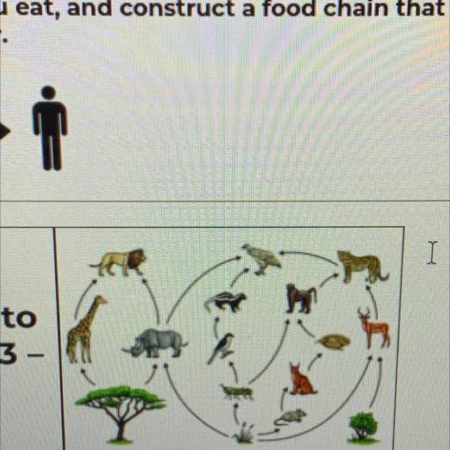If grasshoppers were removed from this food web, which organism would suffer the most, the bird or