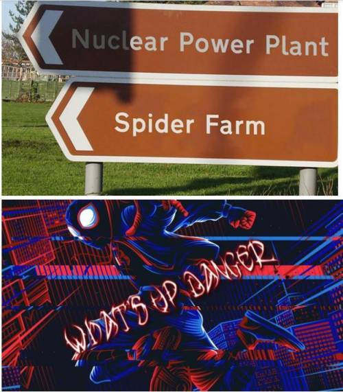 Spooderman guys, what could possibly go wrong?