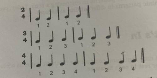 Clap the rhythmic pattern showing steady beats