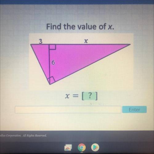 Please help!! find the value of x?