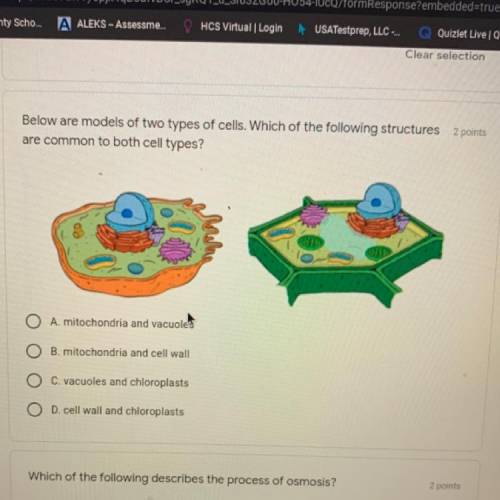 Below are models of two types of cells. Which of the following structures 2 points

are common to