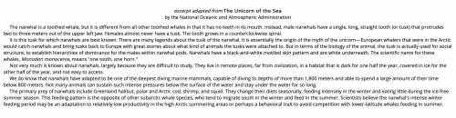 Excerpt adapted from The Unicorn of the Sea

by the National Oceanic and Atmospheric Administratio