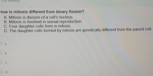 How is mitosis different from binary fission?