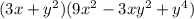 (3x+y^2)(9x^2-3xy^2+y^4)
