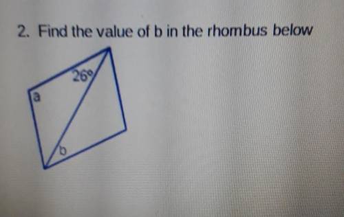 Find the value of b in the rhombus below.