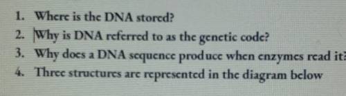 Please answer this biology question
