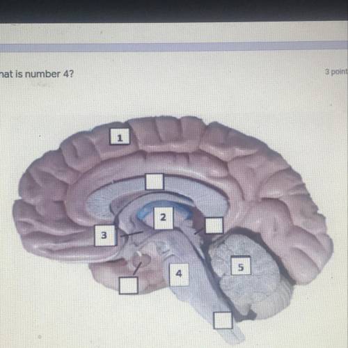 ALOT OF POINTS MARKING PEOPLE AS BRAINLIST 
What is number 4?
