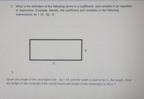 I need help with these questions.