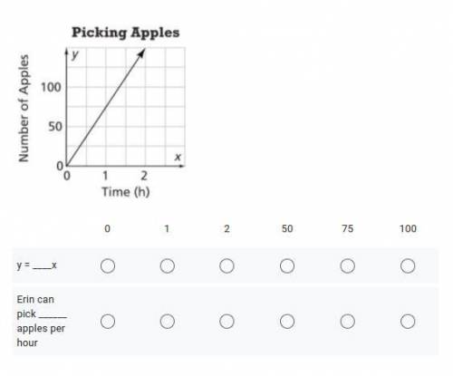 The graph shows how many apples Erin can pick if she maintains a constant rate. What is the linear