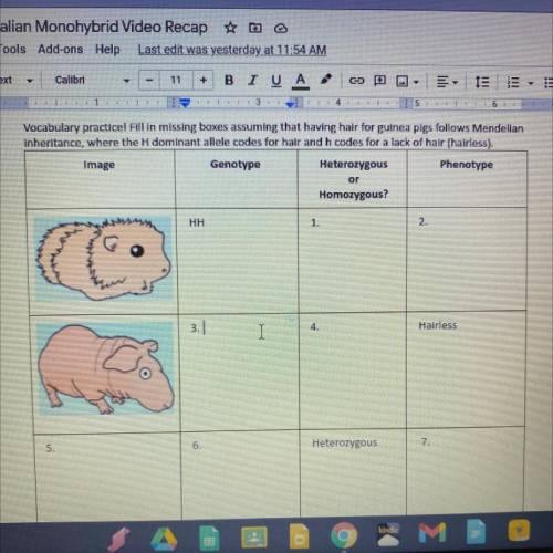 Vocabulary practice! Fill in missing boxes assuming that having hair for guinea pigs follows Mendel