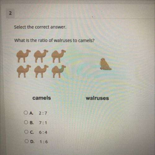 Select the correct answer.

What is the ratio of walruses to camels?
camels
walruses
ОА.
2:7
OB.
7