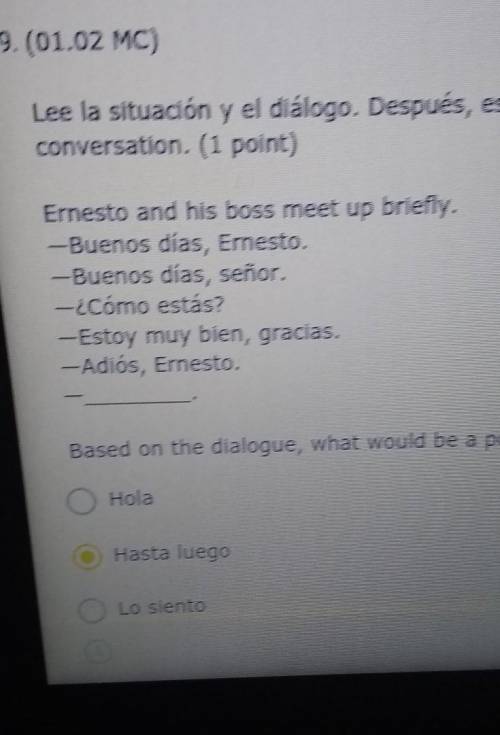 Based on the dialogue, what would be a possible farewell from Ernesto? A. Hola B. Hasta luego C. Lo