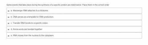 Some events that take place during the synthesis of a specific protein are listed below. Place them