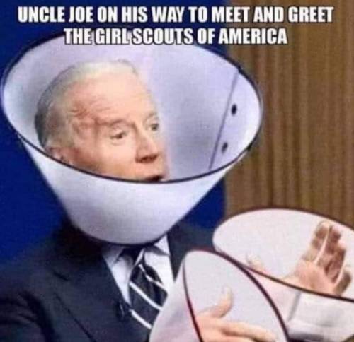 Joe Biden fans check gvt this......................................................................
