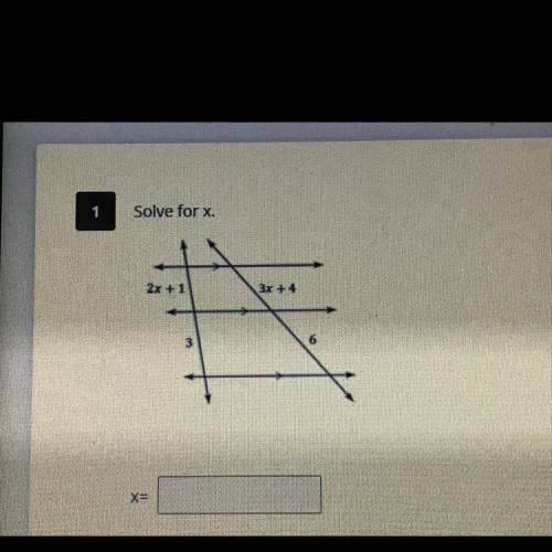 Solve for X .
I’ll give brainliest to whoever answers 1st!