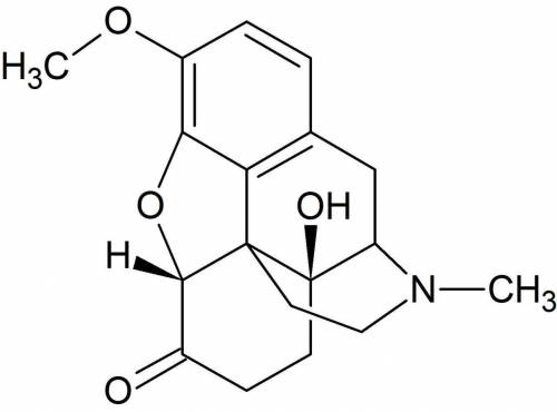 What are the functional groups in oxycodone?