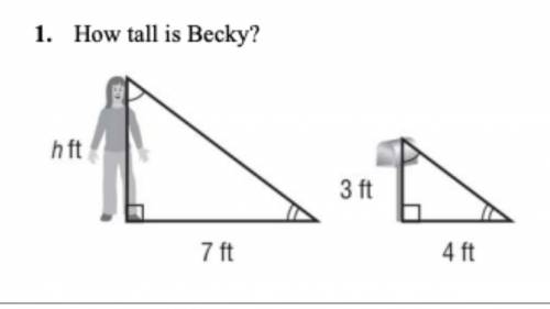 I'm stuck. how tall is Becky