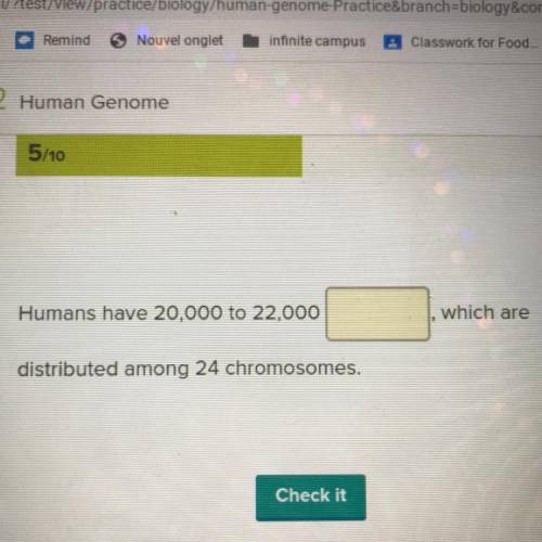 Humans have 20,000 to 22,000 Which are distributed among 24 chromosomes?