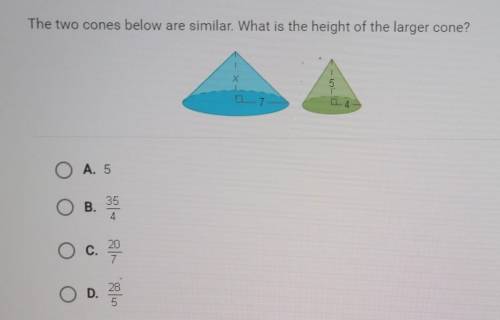The two cones below are similar. What is the height of the larger cone?