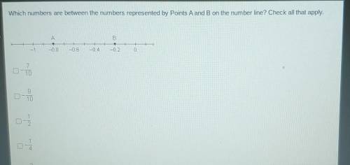 Which numbers are between the numbers represented by Points A and B on the number line? Check all t