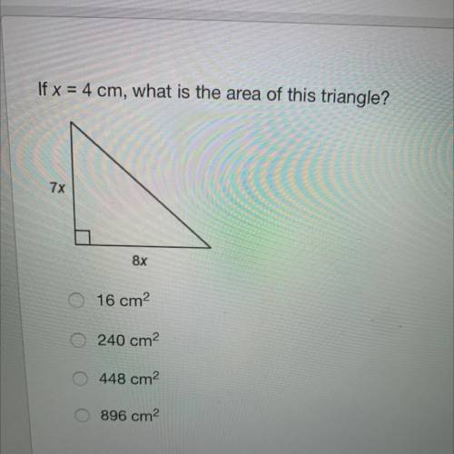 If x=4 can what is the area of this triangle
HELP PLZ