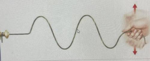 In which direction is this wave traveling?*

(1 Point)
A. up
B. down
C. to the left
D. to the righ