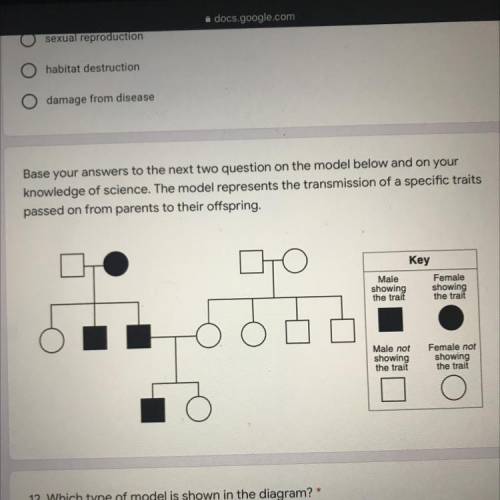 HELP DUE AT 4! THIS DEPENDS ON MY GRADE okay here is the model now I need help w the question: How