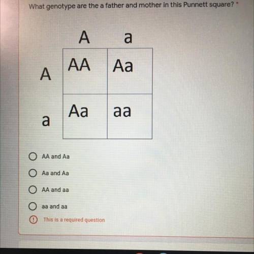 What genotype are the a father and mother in this Punnett square?
