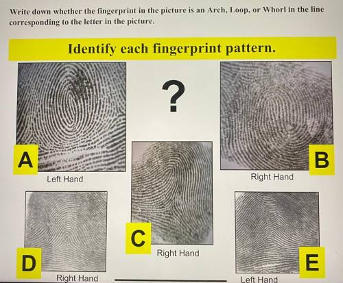 Write down where the fingerprint is an Arch, Loop, or Whorl