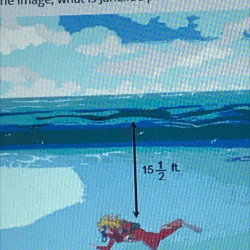 In the image, what is Janelle’s position relative to sea level while she is diving? What should the