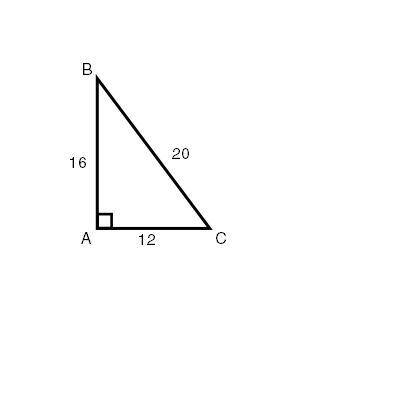Which inverse trigonometric function will determine the measurement of angle B?

tan -1(0.75)
cos