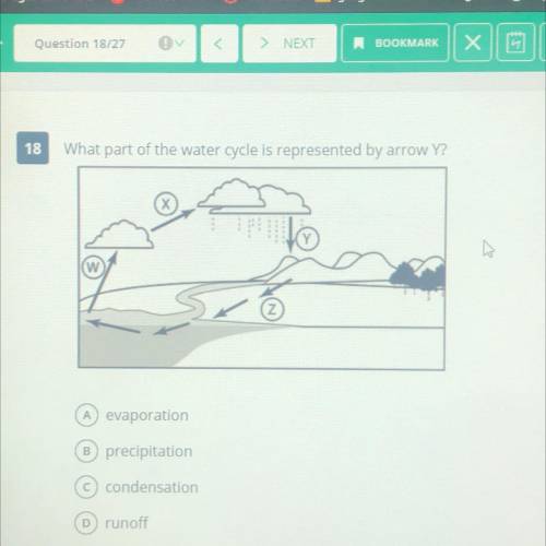 18

What part of the water cycle is represented by arrow Y?
w
(z
A evaporation
B precipitation
con