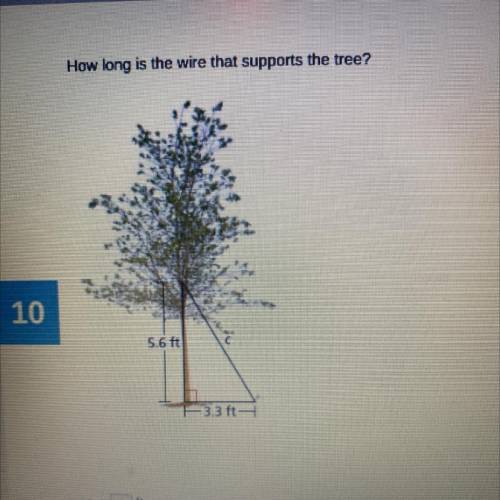 How long is the wire that supports the tree?
5.6 ft
3.3 ft-