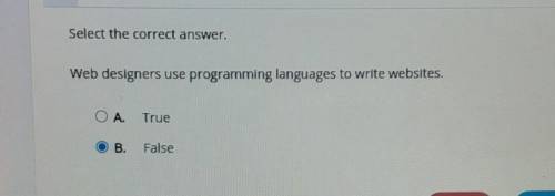 Web designers use programming languages to write websites. A True  B False