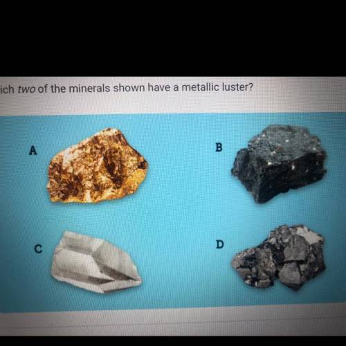 Which two of the minerals shown have a metallic luster?
