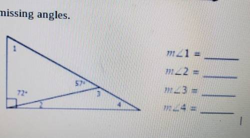 Find the missing angles.