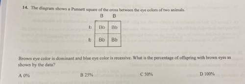 14. The diagram shows a Punnett square of the cross between the eye colors of two animals.

Brown