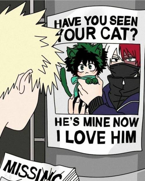 Some memes for all you mha lovers