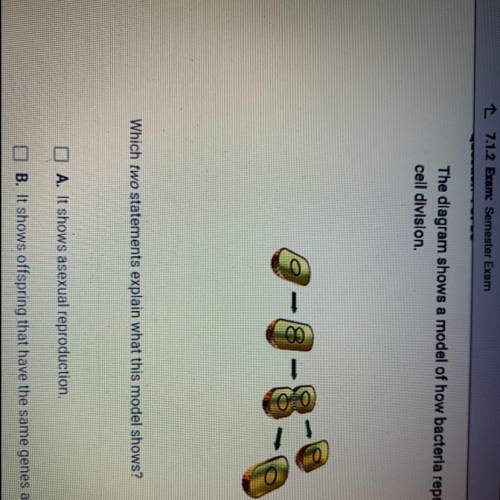 The dlagram showsa model of how bacteria reproduce by

cell division.
Which two statements explain