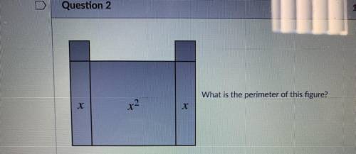 What is the perimeter of this figure? 
6x+6
6x+10
4x+6
4x+8