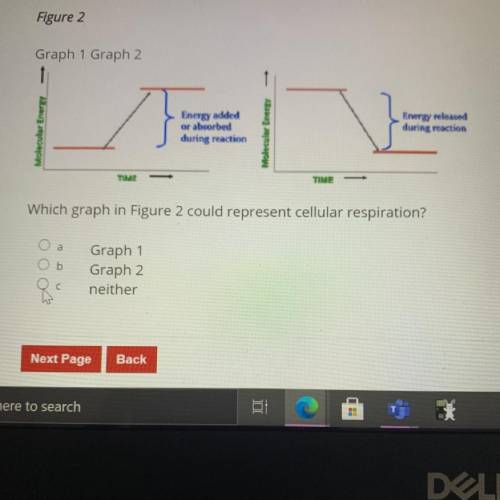 This is a test need help