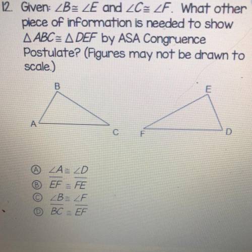 PLS HELP ME it’s for my test :)