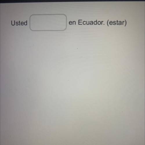 Help me with my Spanish! Plz I actually need help