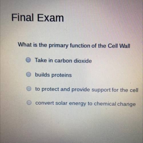 What is the primary function of the Cell Wall?

1.Take in carbon dioxide
2.builds proteins
3.to pr