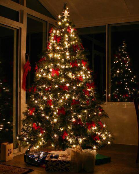 its chhristmasss timeeeee everyone post yr tree dont report or ill report all yr andwers and questio