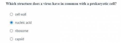 Which structure does a virus have in common with a prokaryotic cell?